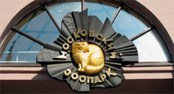 Пурифайеры EcaOffice